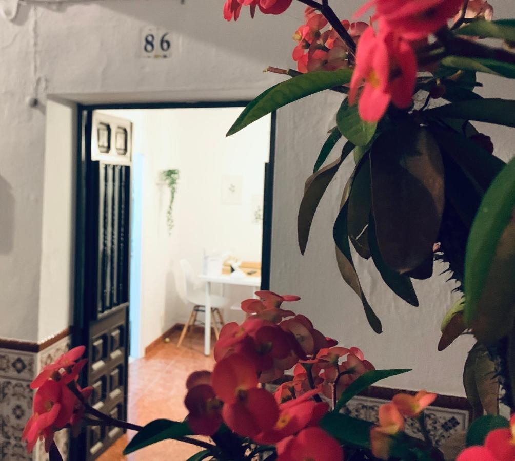 Casa Rural Dian - Centro Torrox 토록스 외부 사진